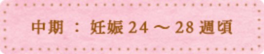 中期：妊婦24〜28週頃