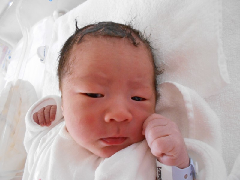 19年8月生まれの赤ちゃん 大阪市旭区の神吉産婦人科 産科 婦人科 ソフロロジー 自然分娩 妊婦健診 出産大阪市旭区の神吉産婦人科 産科 婦人科 ソフロロジー 自然分娩 妊婦健診 出産 19年8月生まれの赤ちゃん 大阪市旭区の神吉産婦人科 産科 婦人科 ソフロロジー 自然分娩 妊婦健診 出産大阪市旭区の神吉産婦人科 産科 婦人科 ソフロロジー 自然分娩 妊婦健診 出産