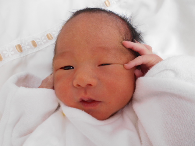 年4月生まれの赤ちゃん 大阪市旭区の神吉産婦人科 産科 婦人科 ソフロロジー 自然分娩 妊婦健診 出産大阪市旭区の神吉産婦人科 産科 婦人科 ソフロロジー 自然分娩 妊婦健診 出産 年4月生まれの赤ちゃん 大阪市旭区の神吉産婦人科 産科 婦人科 ソフロロジー 自然分娩 妊婦健診 出産大阪市旭区の神吉産婦人科 産科 婦人科 ソフロロジー 自然分娩 妊婦健診 出産