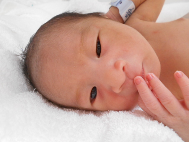 年5月生まれの赤ちゃん 大阪市旭区の神吉産婦人科 産科 婦人科 ソフロロジー 自然分娩 妊婦健診 出産大阪市旭区の神吉産婦人科 産科 婦人科 ソフロロジー 自然分娩 妊婦健診 出産 年5月生まれの赤ちゃん 大阪市旭区の神吉産婦人科 産科 婦人科 ソフロロジー 自然分娩 妊婦健診 出産大阪市旭区の神吉産婦人科 産科 婦人科 ソフロロジー 自然分娩 妊婦健診 出産