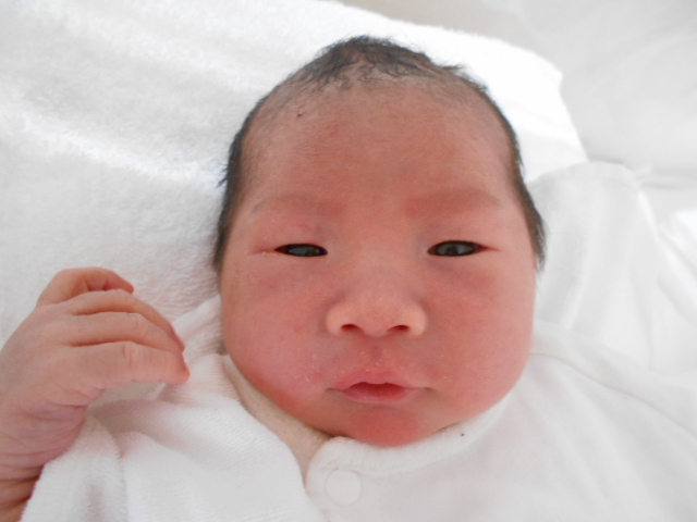 年5月生まれの赤ちゃん 大阪市旭区の神吉産婦人科 産科 婦人科 ソフロロジー 自然分娩 妊婦健診 出産大阪市旭区の神吉産婦人科 産科 婦人科 ソフロロジー 自然分娩 妊婦健診 出産 年5月生まれの赤ちゃん 大阪市旭区の神吉産婦人科 産科 婦人科 ソフロロジー 自然分娩 妊婦健診 出産大阪市旭区の神吉産婦人科 産科 婦人科 ソフロロジー 自然分娩 妊婦健診 出産