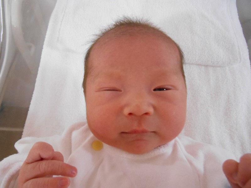 年12月生まれの赤ちゃん 大阪市旭区の神吉産婦人科 産科 婦人科 ソフロロジー 自然分娩 妊婦健診 出産大阪市旭区の神吉産婦人科 産科 婦人科 ソフロロジー 自然分娩 妊婦健診 出産 年12月生まれの赤ちゃん 大阪市旭区の神吉産婦人科 産科 婦人科 ソフロロジー 自然分娩 妊婦健診 出産大阪市旭区の神吉産婦人科 産科 婦人科 ソフロロジー 自然分娩 妊婦健診 出産